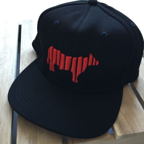 Mr. Biltong Snapback Cap
